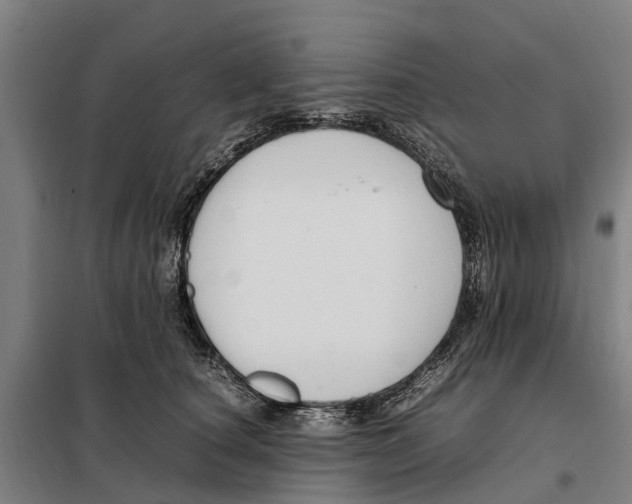 X0000098000660200804211132
