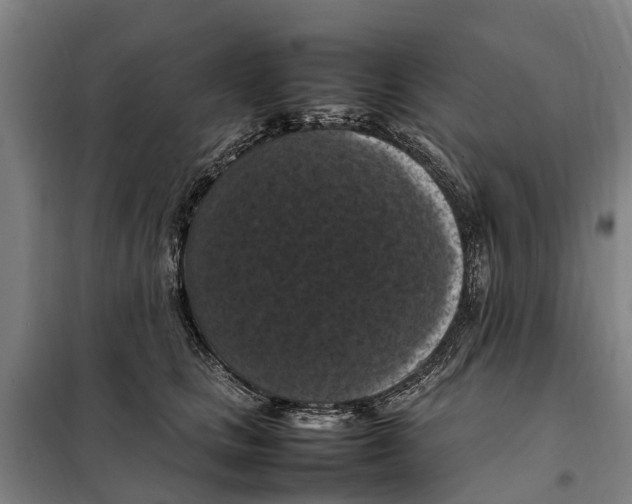X0000098000661200804211132