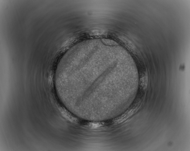 X0000098000662200804211132
