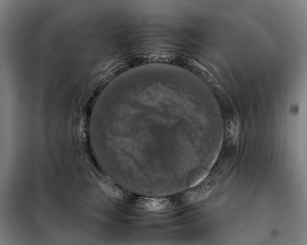 X0000098000663200804211132