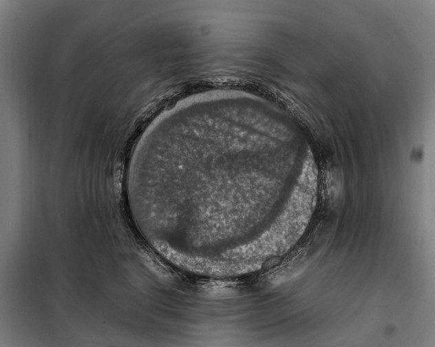 X0000098000664200804211132