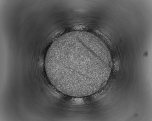 X0000098000665200804211132