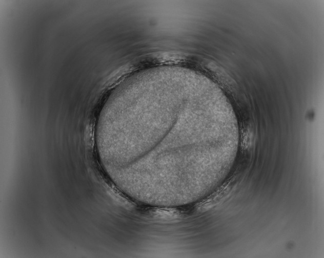 X0000098000666200804211133