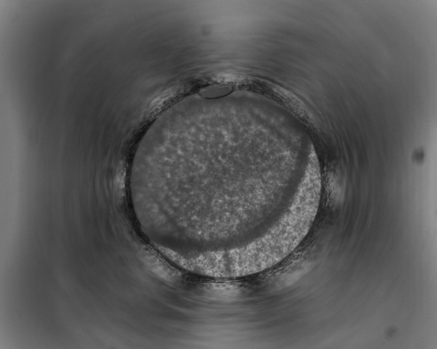 X0000098000668200804211133