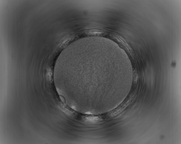 X0000098000669200804211133
