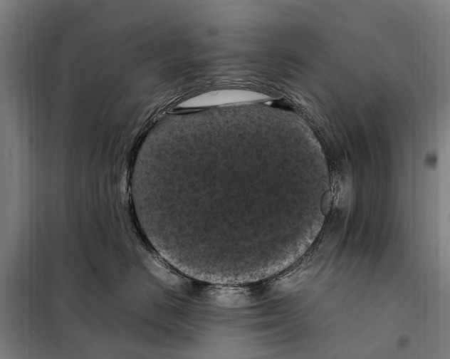 X0000098000670200804211133