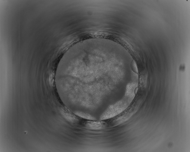 X0000098000671200804211133
