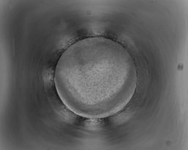 X0000098000672200804211133