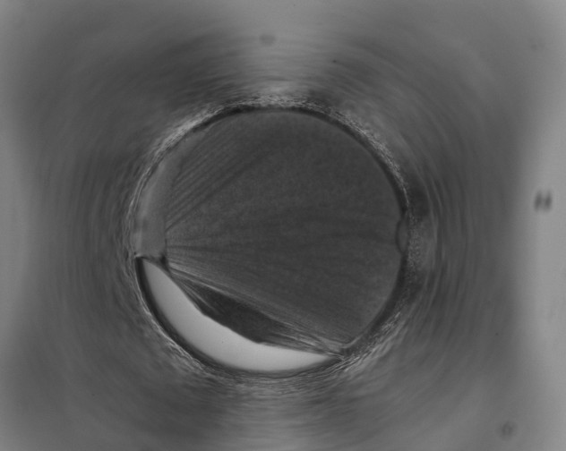 X0000098000673200804211132
