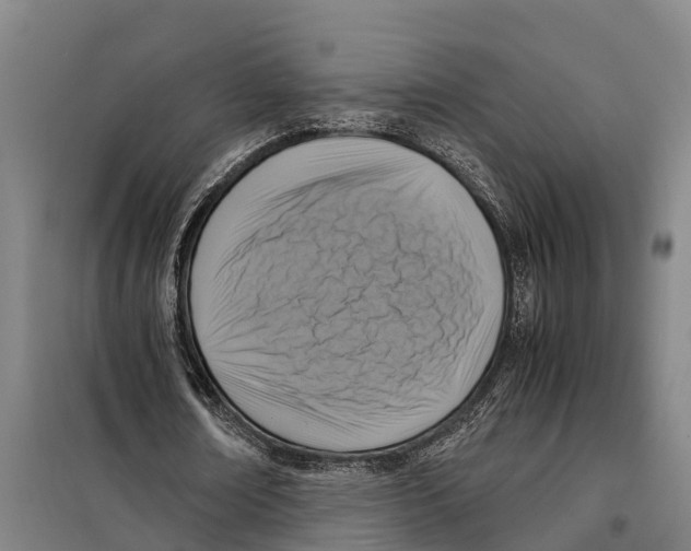 X0000098000674200804211132