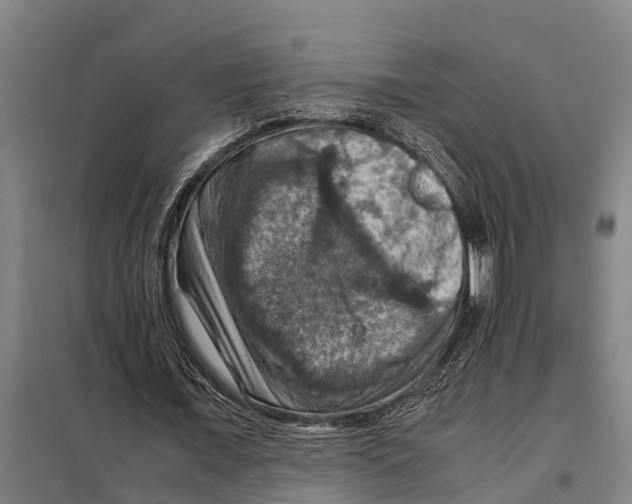 X0000098000675200804211132