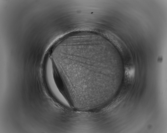 X0000098000676200804211132