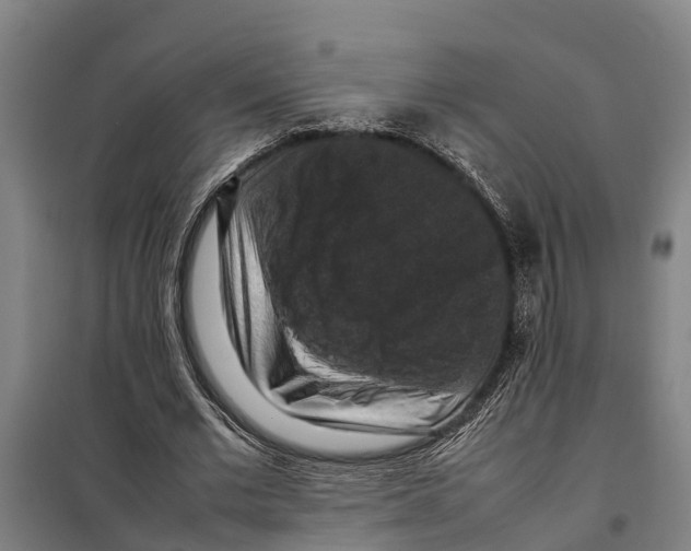 X0000098000677200804211132