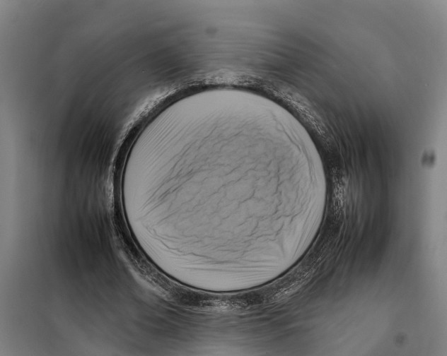 X0000098000678200804211132
