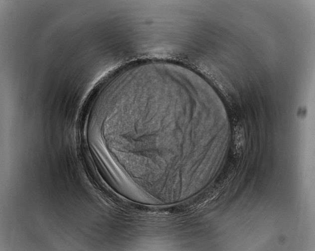 X0000098000680200804211132