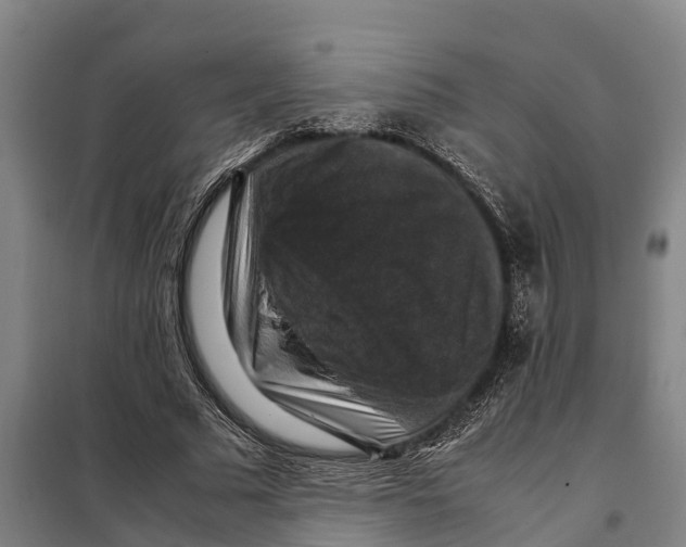 X0000098000681200804211132