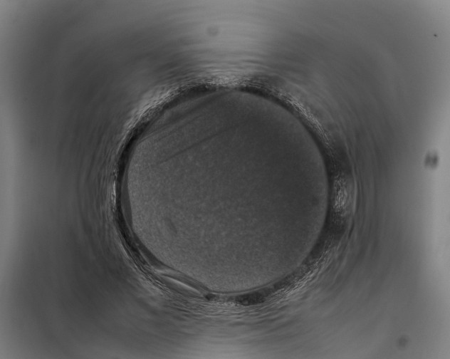 X0000098000685200804211132