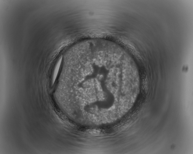 X0000098000687200804211132