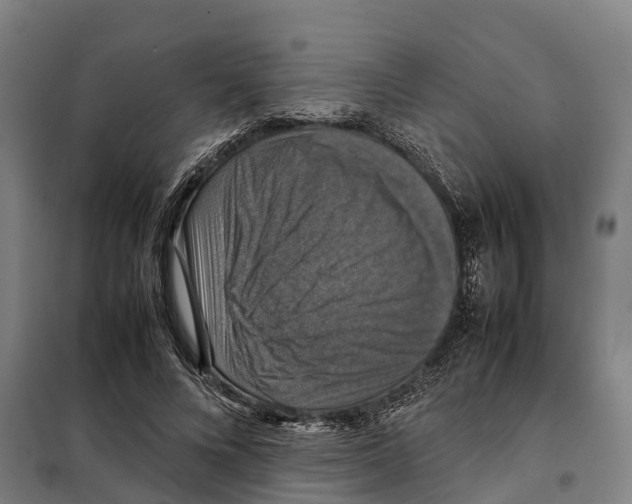 X0000098000688200804211132