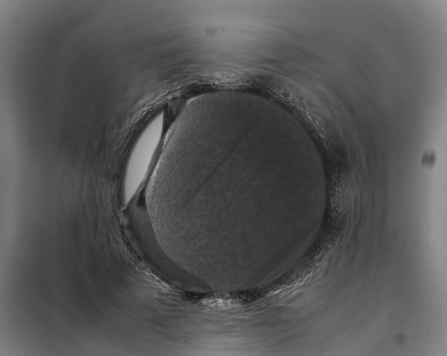 X0000098000689200804211132