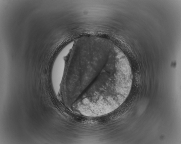 X0000098000691200804211132