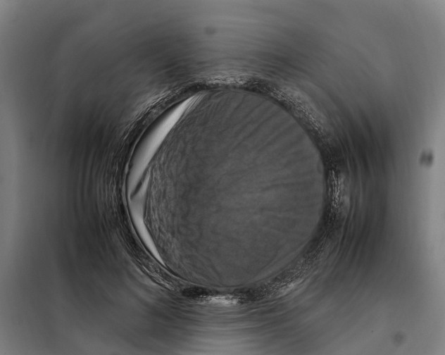 X0000098000692200804211131