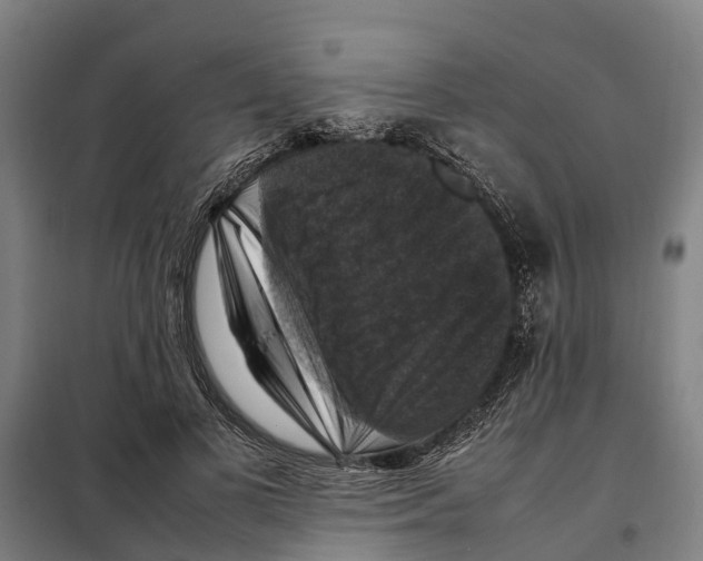 X0000098000693200804211131