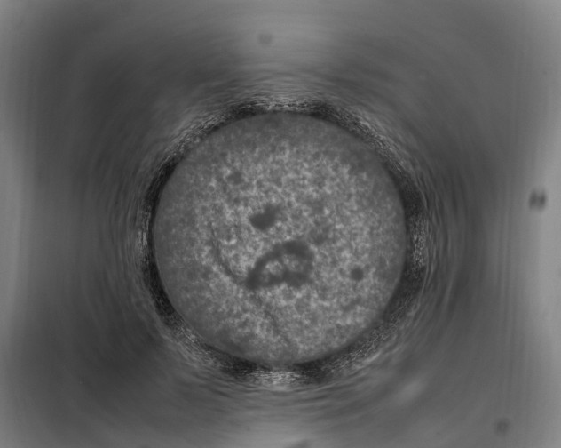 X0000098000695200804211131