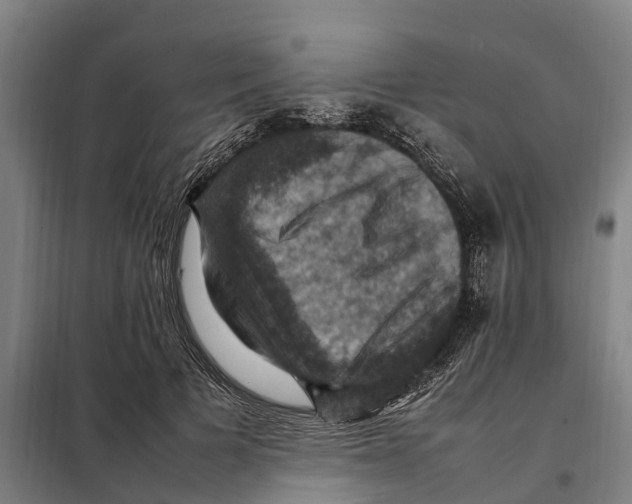 X0000098000697200804211131