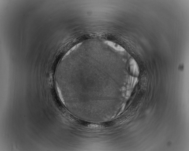 X0000098000699200804211131