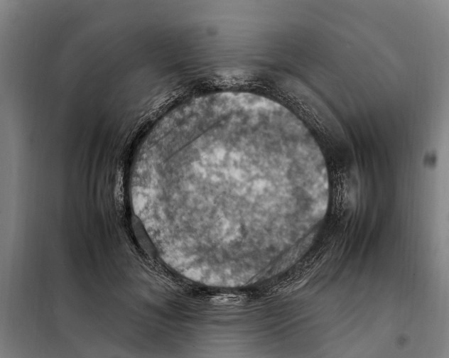 X0000098000700200804211131