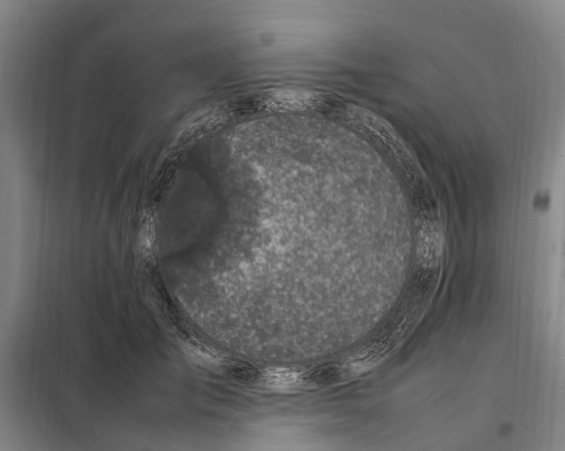 X0000098000701200804211131