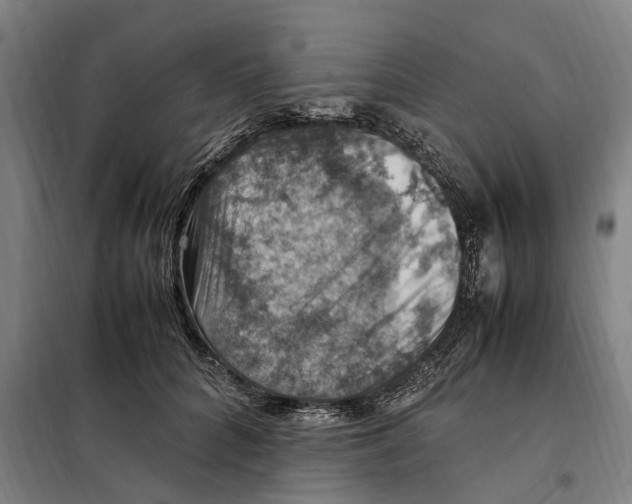 X0000098000704200804211131