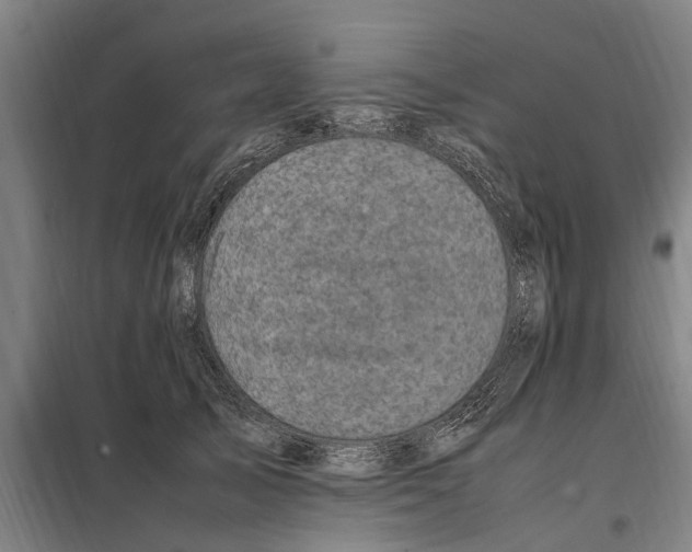 X0000098000705200804211131