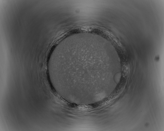 X0000098000707200804211131