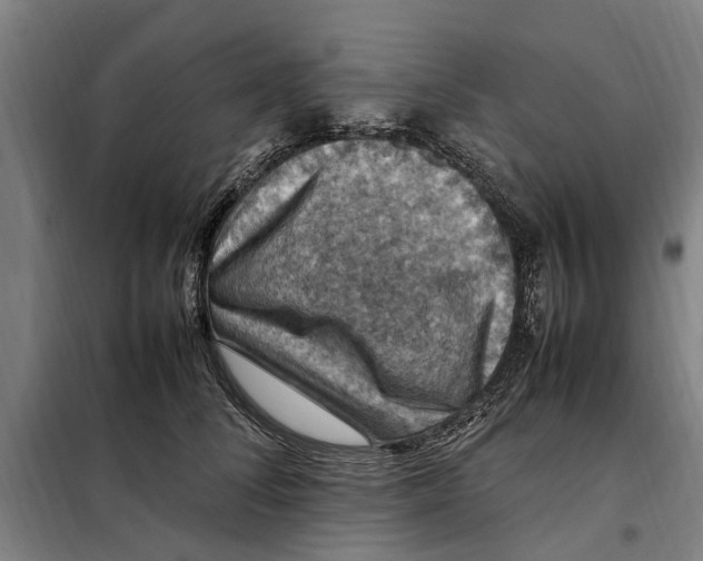 X0000098000708200804211131