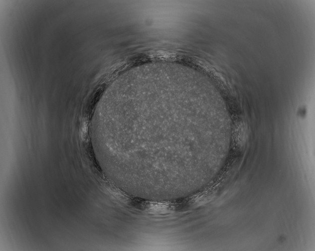 X0000098000709200804211131