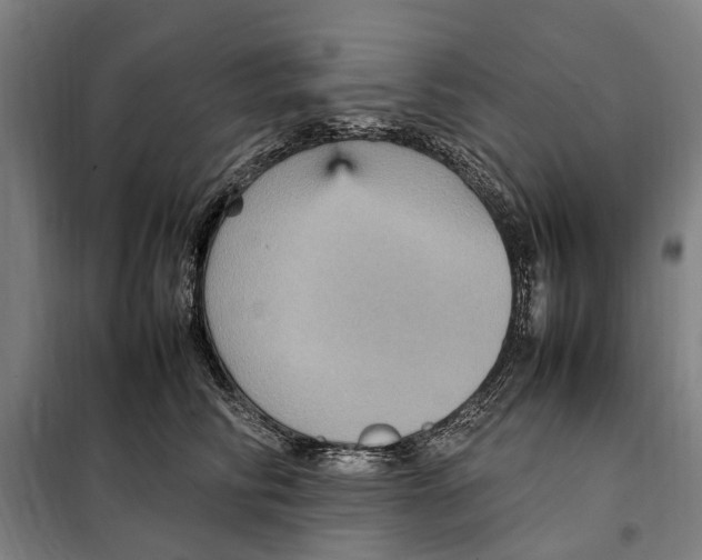 X0000098000710200804211131