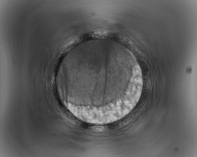 X0000098000711200804211131