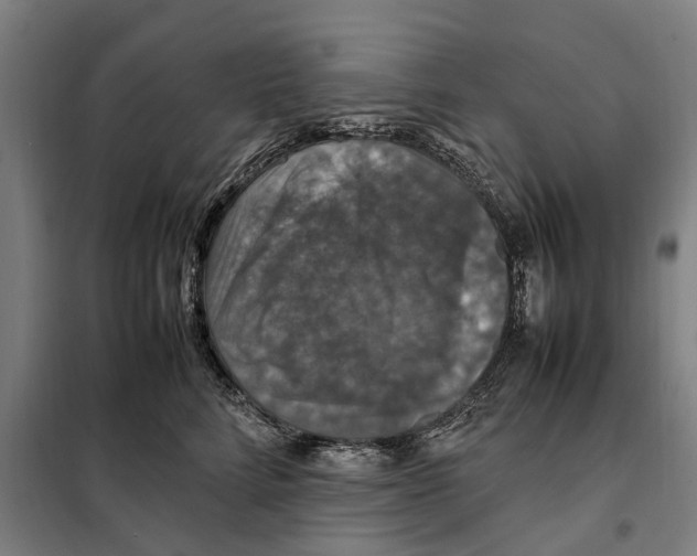X0000098000712200804211131