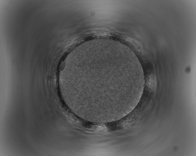 X0000098000715200804211131