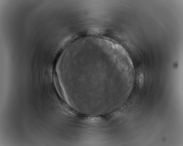 X0000098000716200804211131