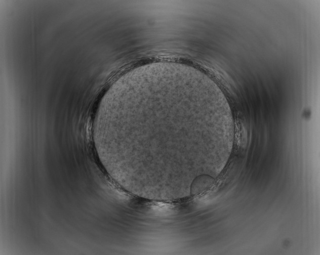 X0000098000718200804211131