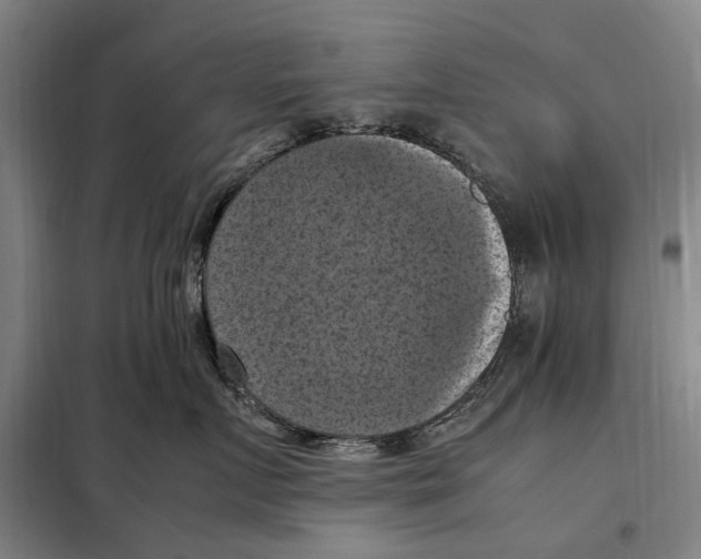 X0000098000719200804211131
