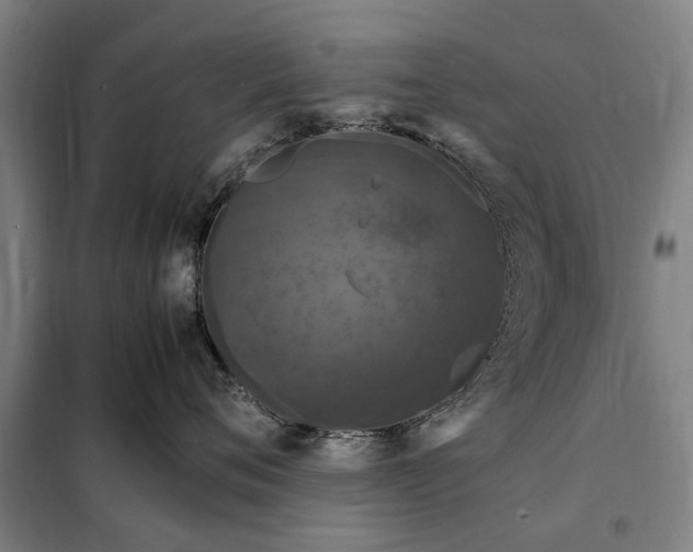 X0000098000720200804211131