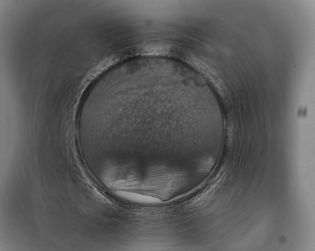 X0000098000721200804211130