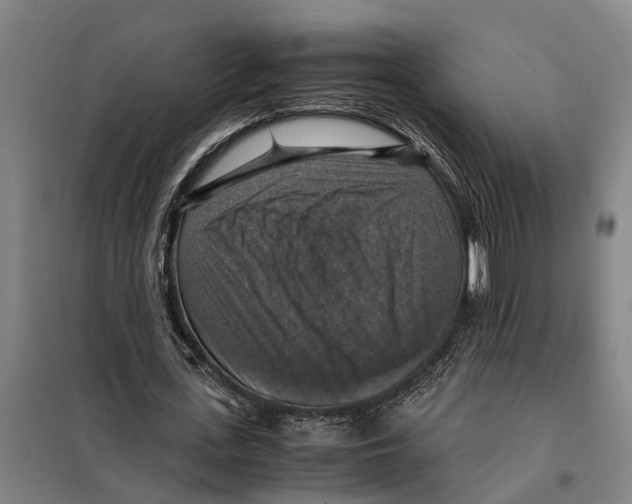 X0000098000723200804211130