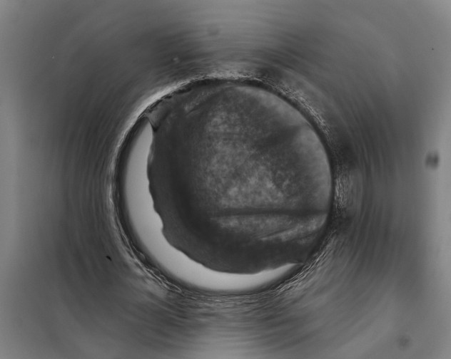 X0000098000724200804211130