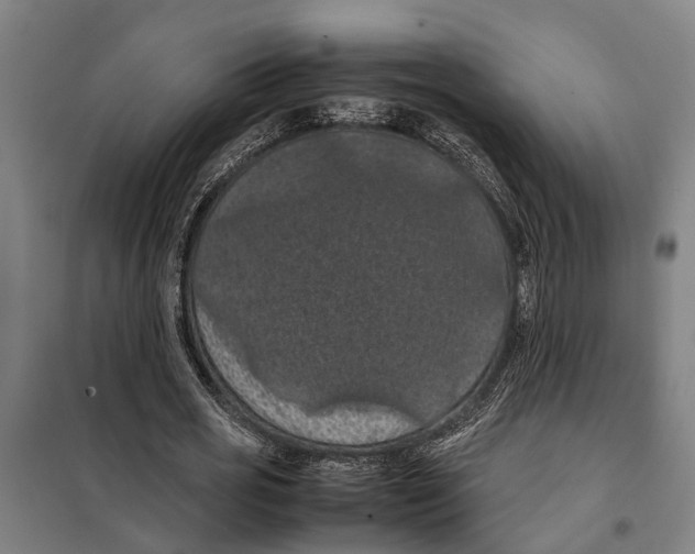 X0000098000725200804211130