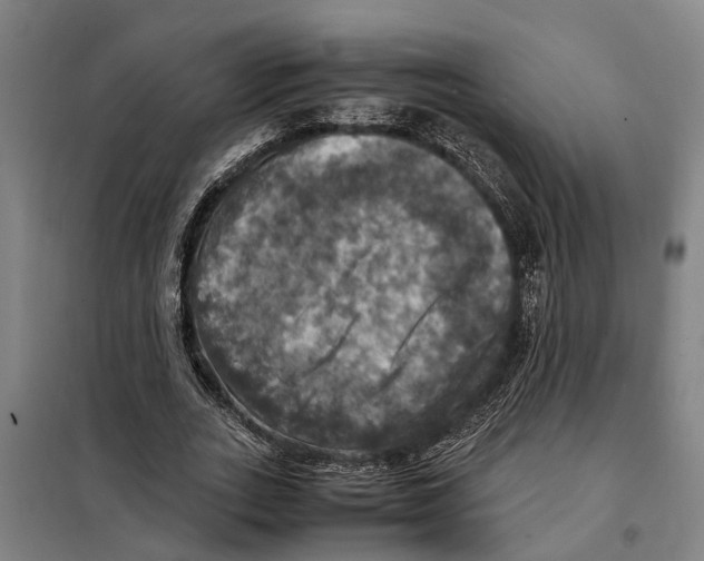 X0000098000727200804211130